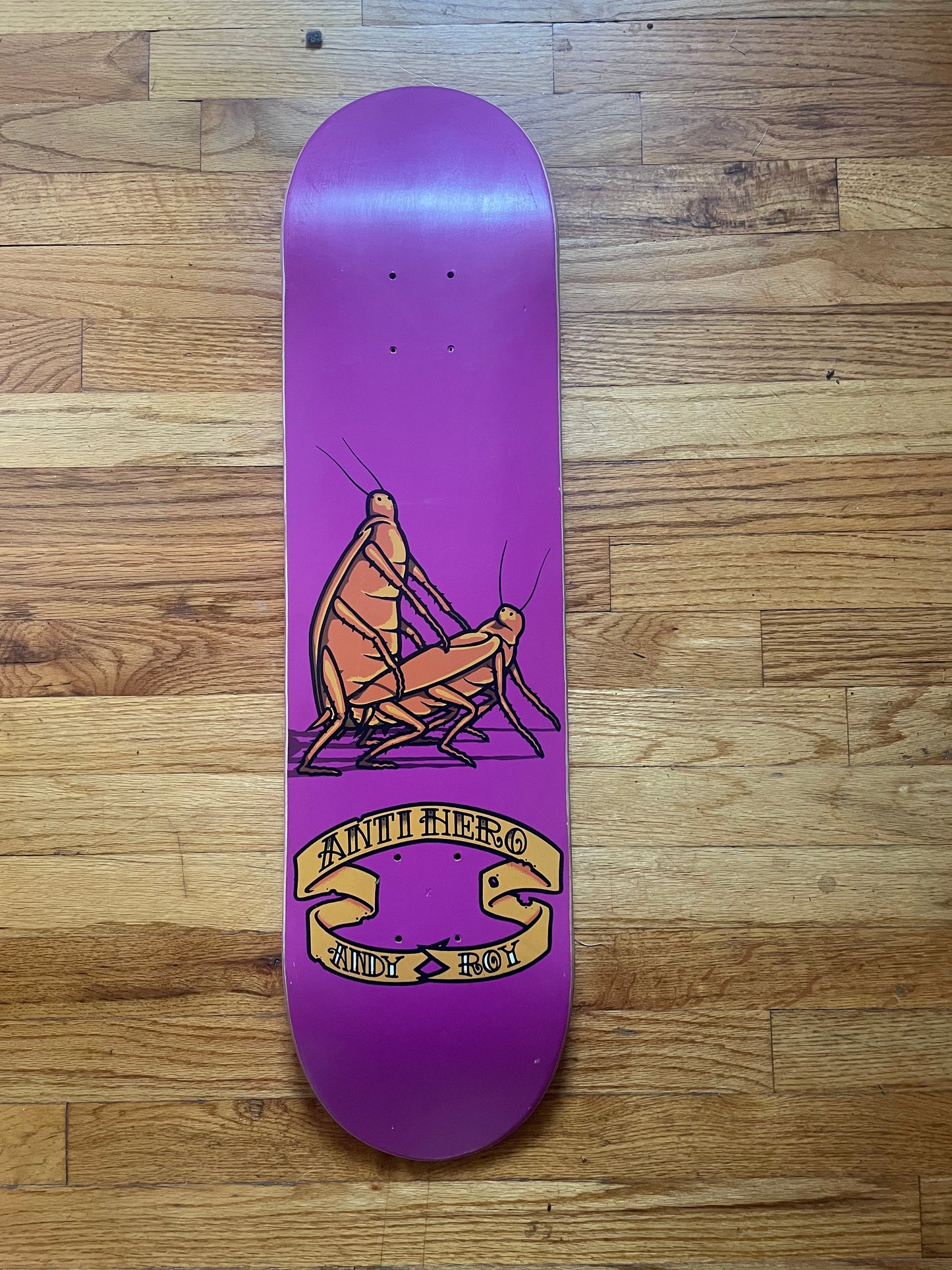 Anti Hero Andy Roy Vintage 1997