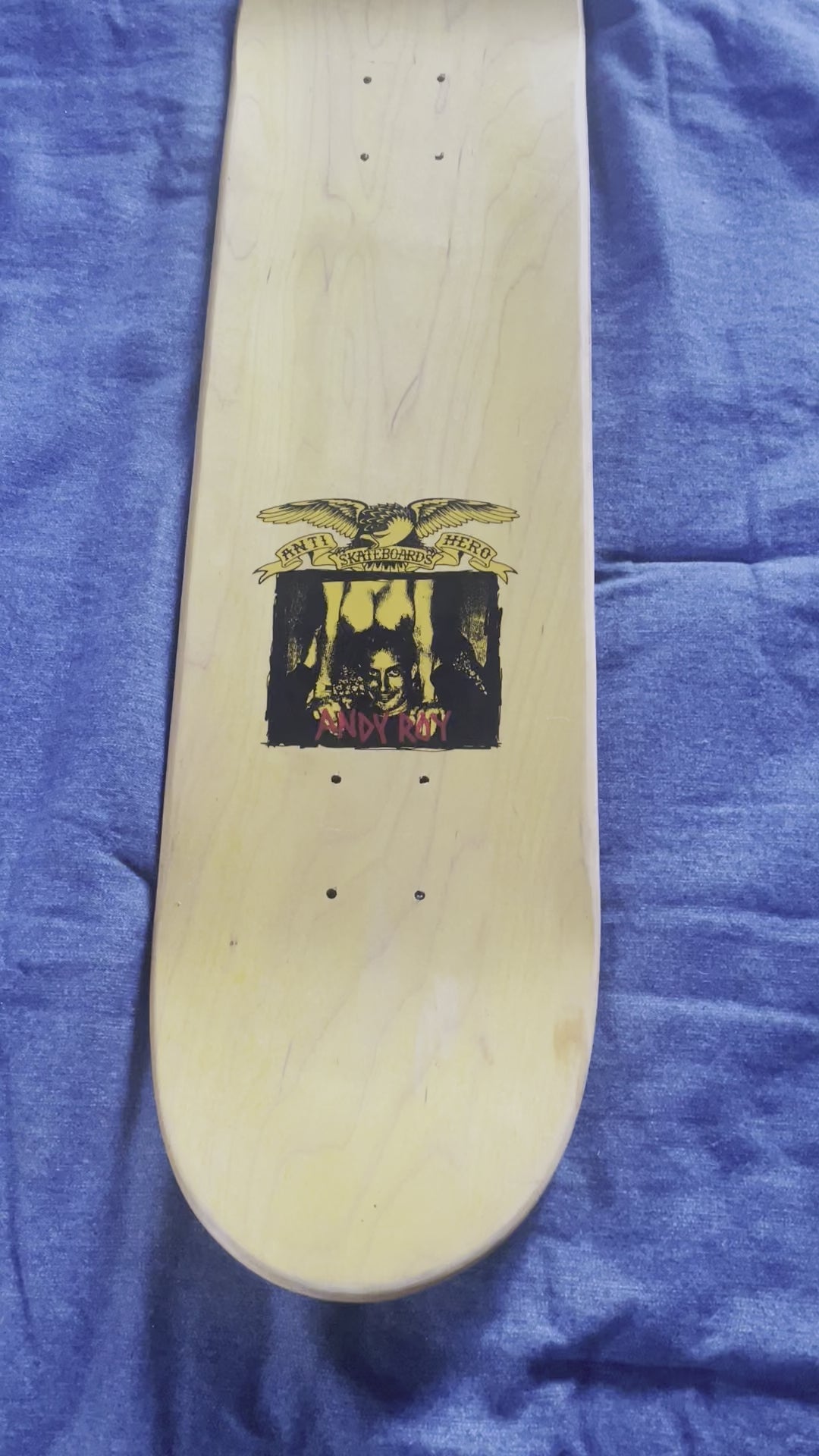 Anti Hero Andy Roy Vintage 1997 – Wasteland